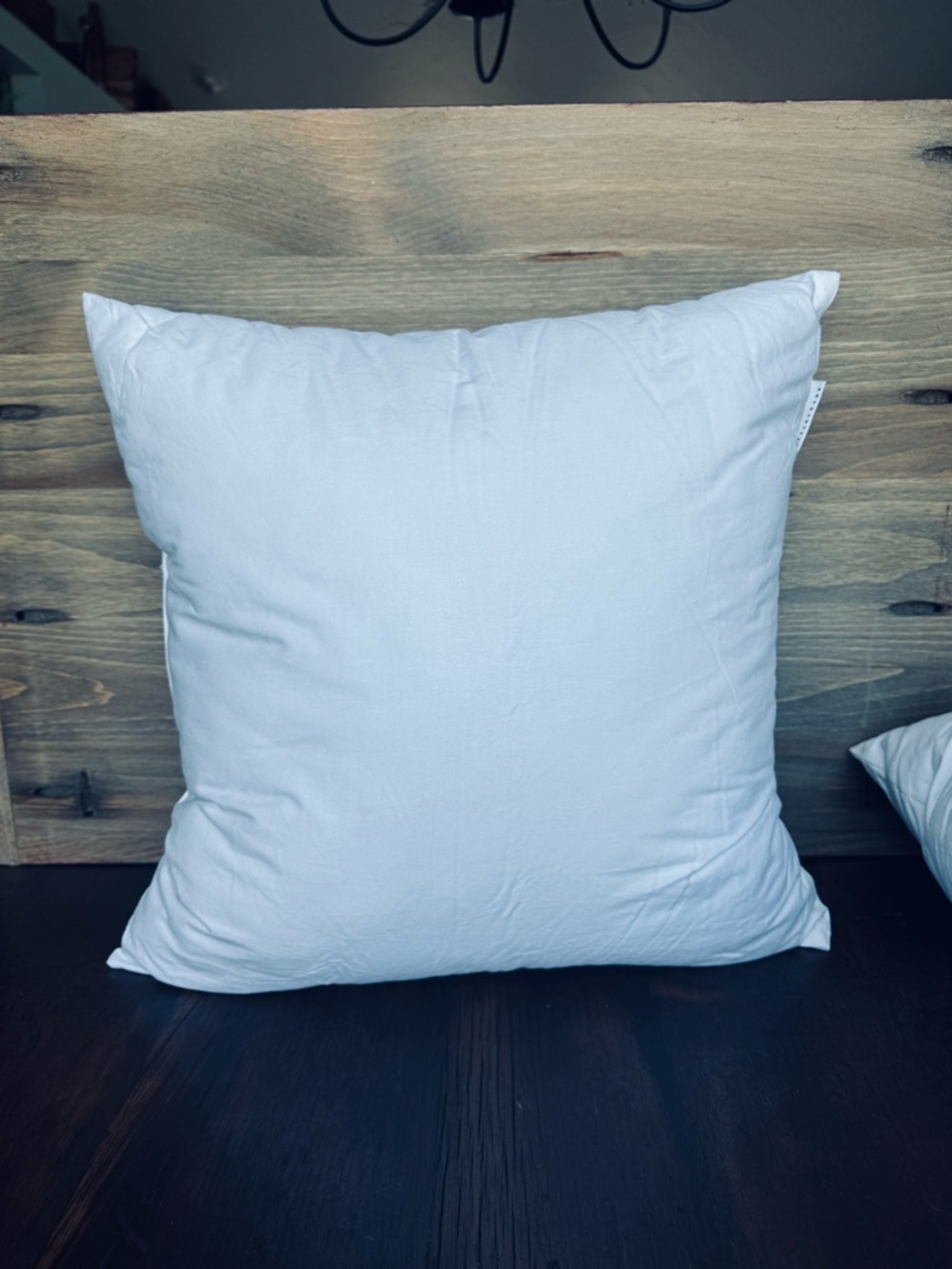 Pottery Barn Accent Pillow Insert Pair* - Picture 6 of 8